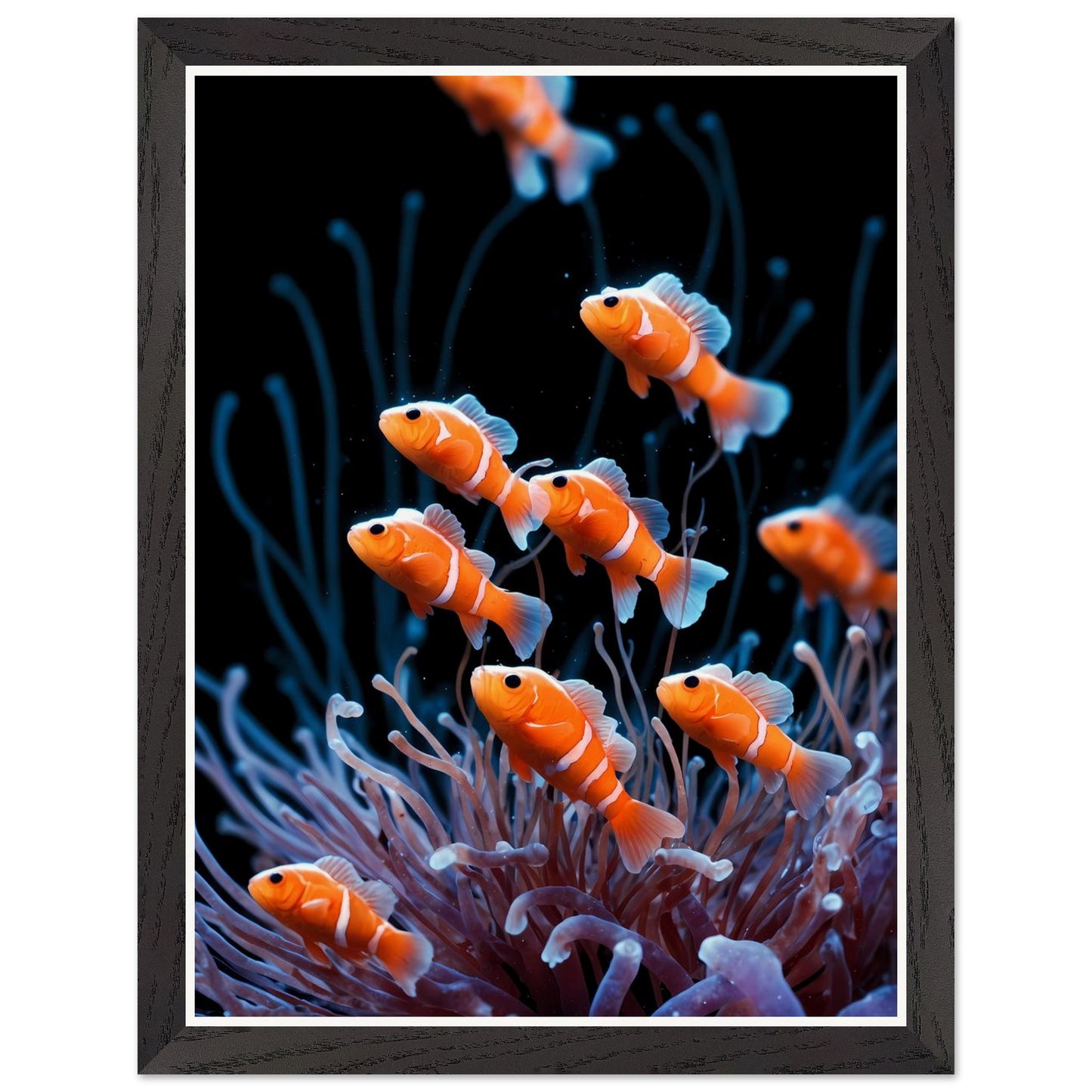 Affiche illustrée Anémones de mer Encadrée — poster rétro, impression beaux-arts 250g