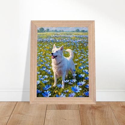 Affiche Berger Blanc Suisse encadrée, cadre bois (vue 3)