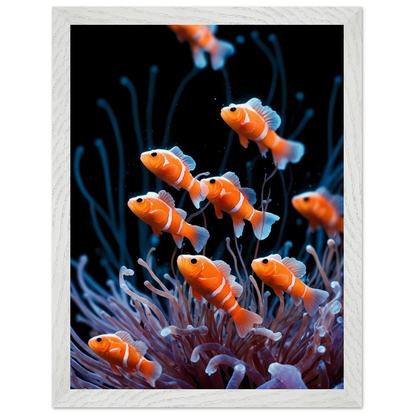 Affiche Anémones de mer Encadrée, cadre blanc 30x40 cm