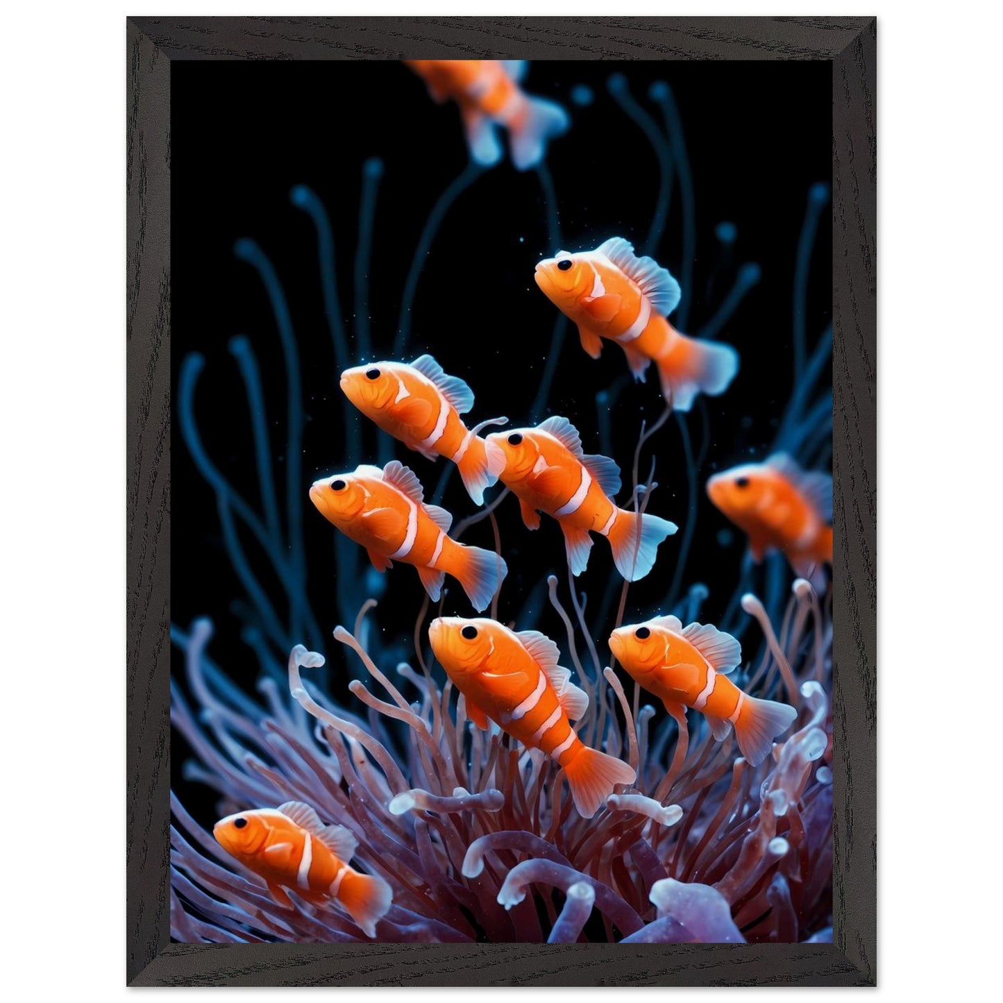 Affiche Anémones de mer Encadrée, cadre noir 30x40 cm