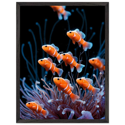 Affiche Anémones de mer Encadrée, cadre noir 45x60 cm