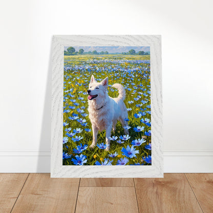 Affiche Berger blanc suisse Encadrée, cadre blanc 15x20 cm