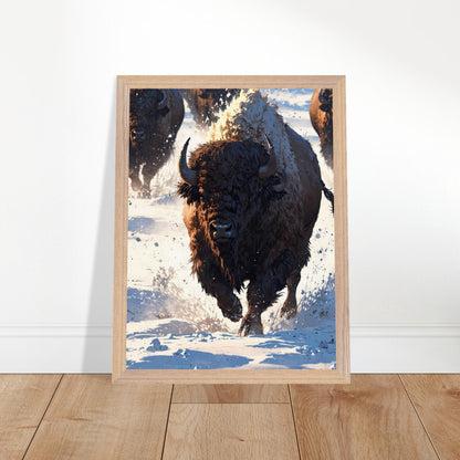 Affiche Bison Encadrée, cadre bois 30x40 cm
