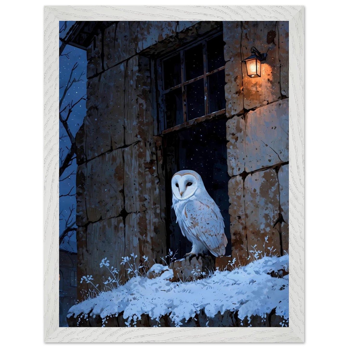 Affiche Chouette effraie Encadrée, cadre blanc 30x40 cm