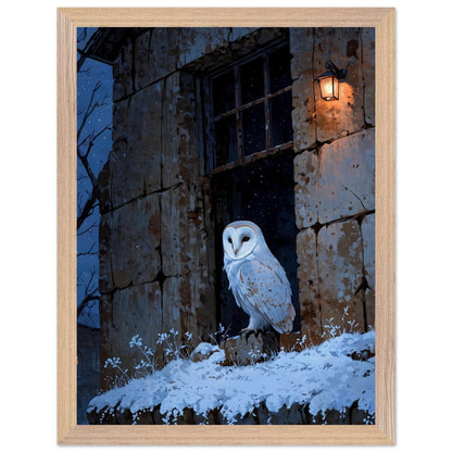 Affiche Chouette effraie Encadrée, cadre bois 30x40 cm