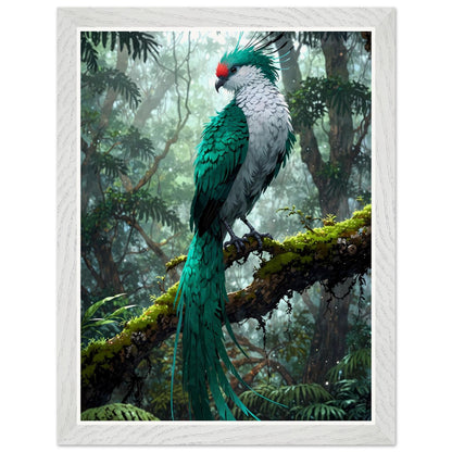 Affiche Quetzal Resplendissant Encadrée, cadre blanc 30x40 cm