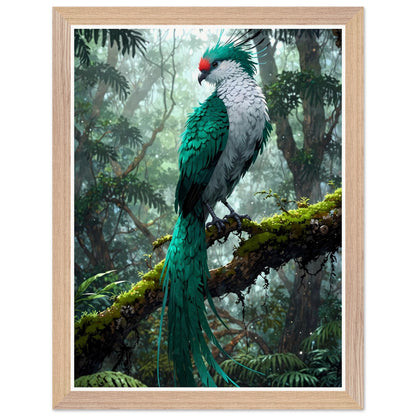 Affiche Quetzal Resplendissant Encadrée, cadre bois 30x40 cm