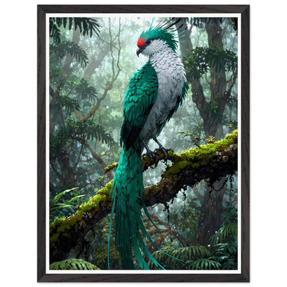Affiche Quetzal Resplendissant Encadrée, cadre noir 45x60 cm