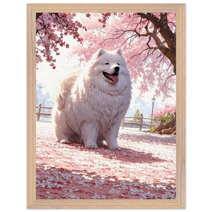 Affiche Samoyède blanc Encadrée, cadre bois 30x40 cm