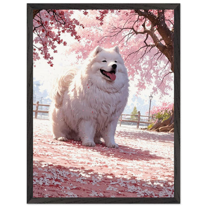Affiche Samoyède blanc Encadrée, cadre noir 45x60 cm