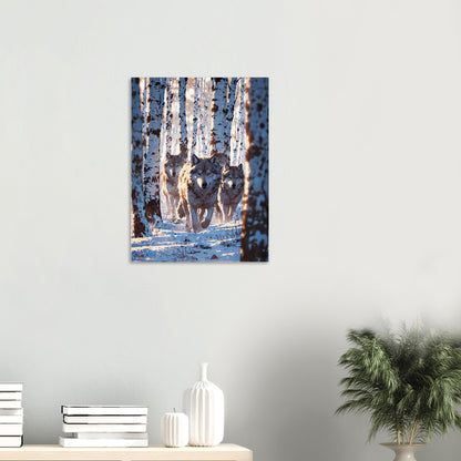 Affiche Meute de loups, mise en situation dans un intérieur