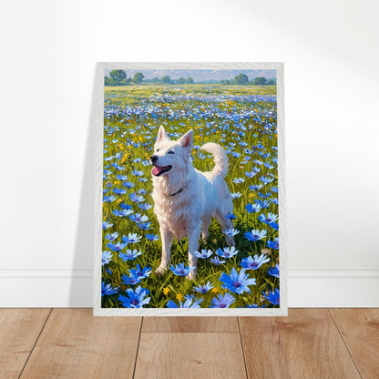 Affiche Berger Blanc Suisse encadrée, cadre bois (vue 2)