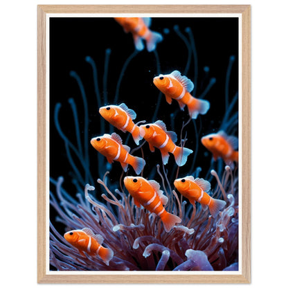 Affiche illustrée Anémones de mer Encadrée — poster rétro, impression beaux-arts 250g