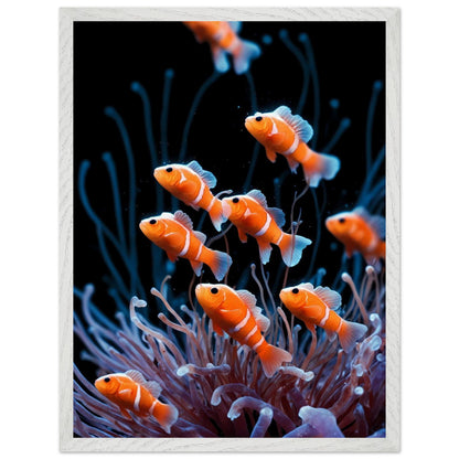 Affiche Anémones de Mer encadrée, cadre bois