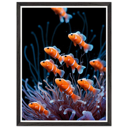 Affiche illustrée Anémones de mer Encadrée — poster rétro, impression beaux-arts 250g